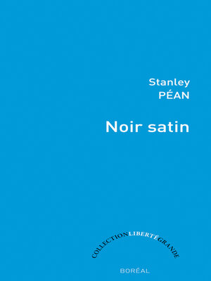 cover image of Noir satin